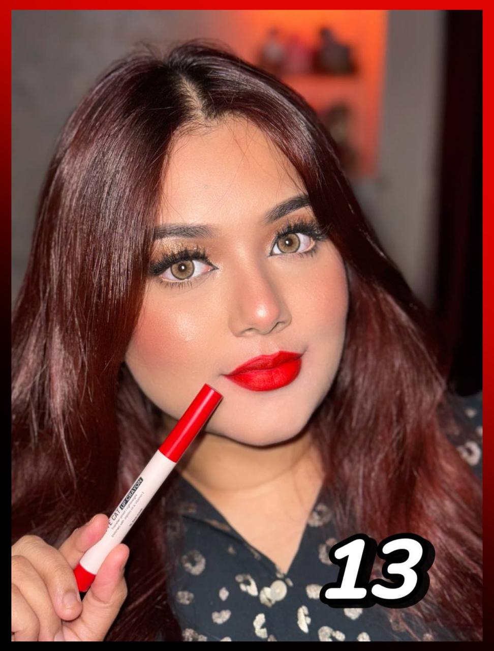 Swiss Beauty Matte Cat Lip Crayon Shade 13 (Red Chilli).